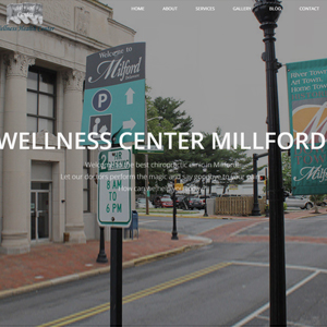 Wellness Center, a website made by the Philadelphia area web development company TAF JK Group Inc.